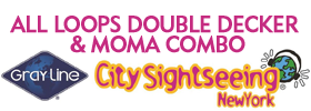 All Loops Double Decker Bus Tour & Museum of Modern Art Combo