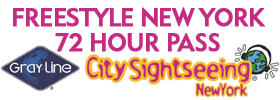 Freestyle New York 72 hour Pass