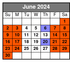 Goo Goo Cluster Experiences June Schedule