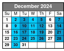 Williamsburg Segway Tours December Schedule