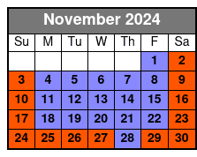 Sl + VR Experience November Schedule