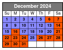 Sl + Mt + The Orlando Eye December Schedule