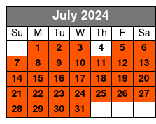 New Orleans Sightseeing Flight July Schedule