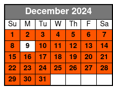 Citywide Tour December Schedule