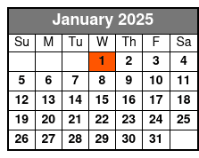 Skywheel Flight January Schedule