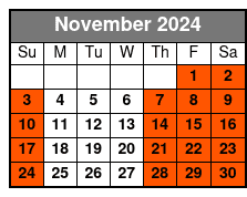 Tampa Bar Crawl on a 2023 Street Legal Golf Cart November Schedule