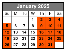Tampa Bar Crawl on a 2023 Street Legal Golf Cart January Schedule