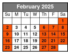 Tampa Bar Crawl on a 2023 Street Legal Golf Cart February Schedule