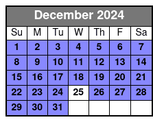 Dig'n Zone Theme Park December Schedule