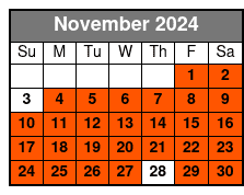 Afternoon 13:00 November Schedule