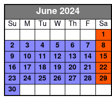 Memphis Mojo Tour June Schedule