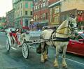 45 Minute Downtown Carriage Tour Photo