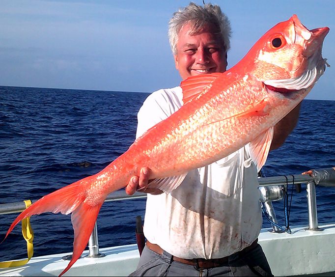 Catch Amazing Fish with Gulf of Mexico Deep Sea Fishing