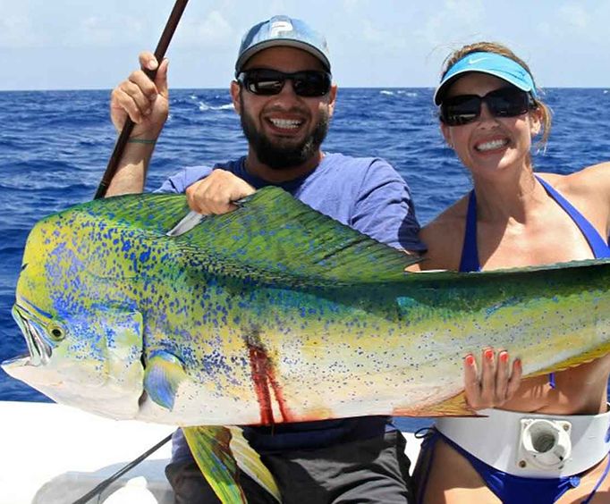 Dolphin Fish with Gulf of Mexico Deep Sea Fishing