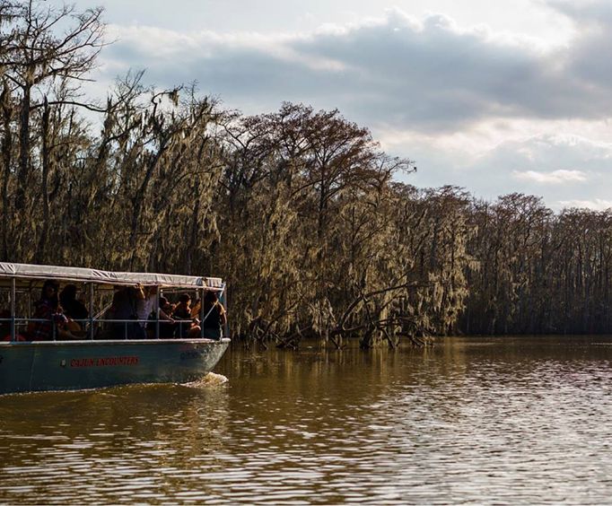 Seeing the Swamp on the Honey Island Swamp Tour