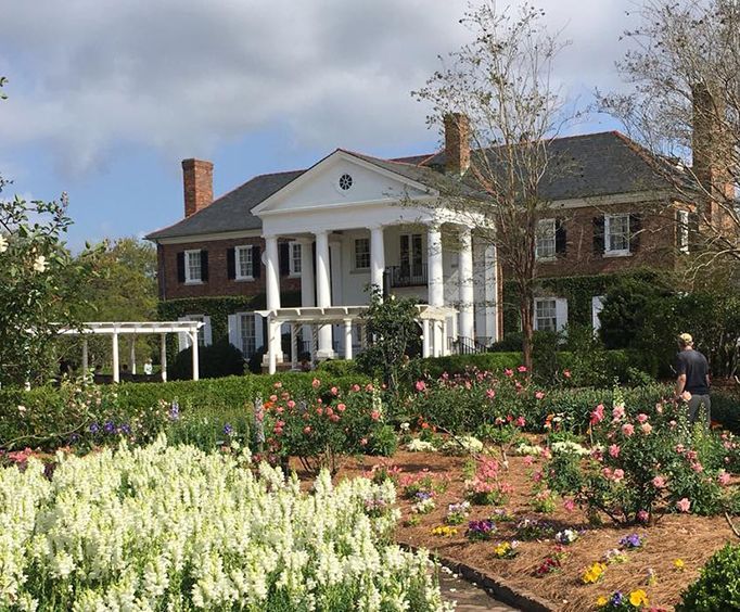 Boone Hall Plantation Bus Tour