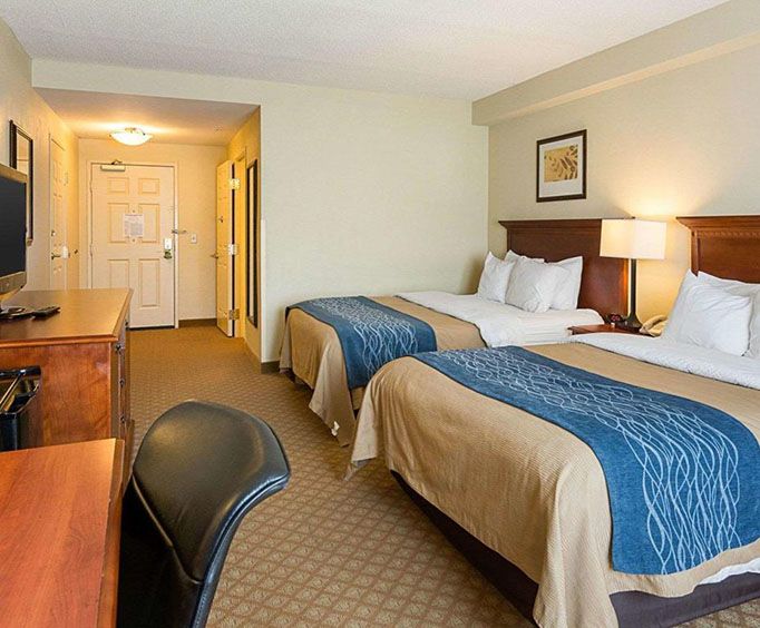 Comfort Inn Suites Virginia Beach - Norfolk Airport - Virginia Beach VA Room Photos