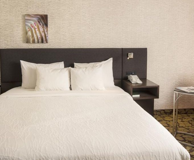 Room Photo for Hilton Garden Inn Wisconsin Dells