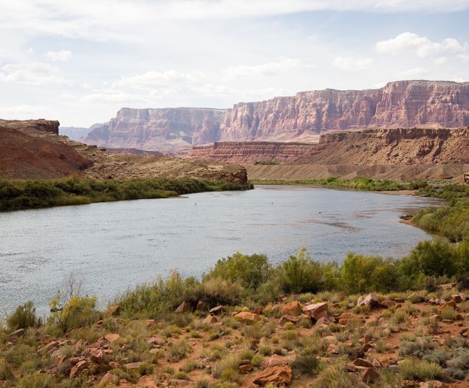 Colorado River with the Colorado River Float Trip