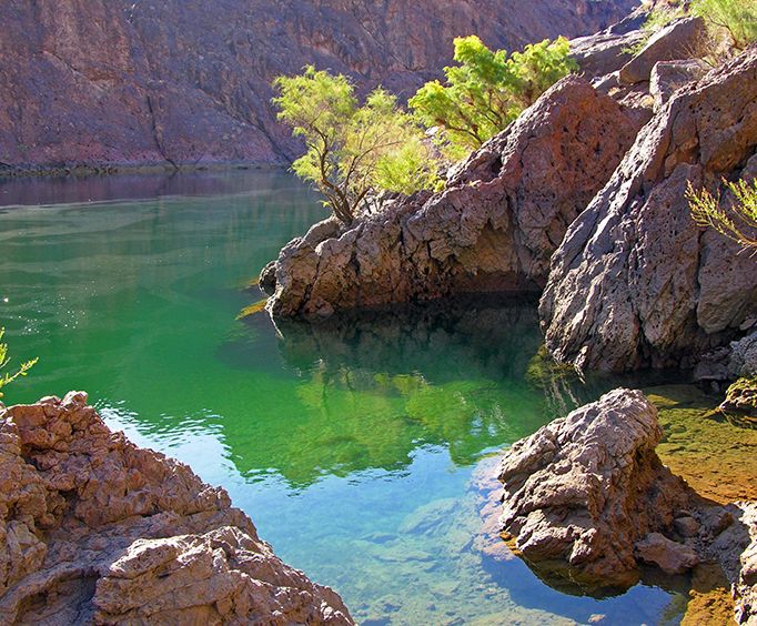 Incredible Sights with the Colorado River Float Trip