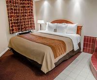 Comfort Inn - Toronto Northea...