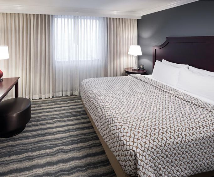 Room Photo for Embassy Suites Tampa Brandon
