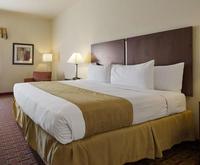 Best Western Tampa