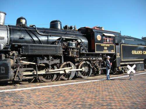 The train