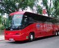 New York City Tour in Foreign Languages Photo