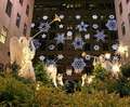 NY See The Holiday Lights! Photo