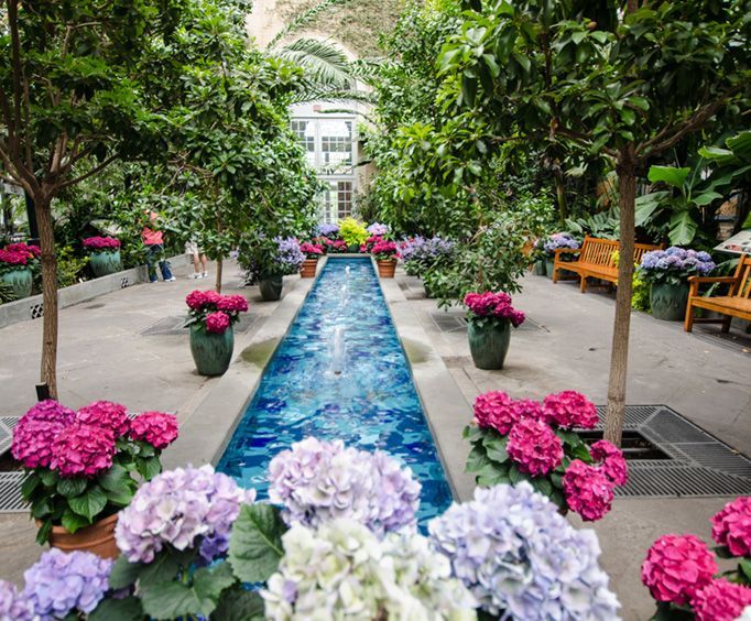 Beautiful Gardens to See with Washington DC Essential Hop-On Hop-Off Plus Bonus Tour