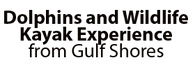 Dolphins and Wildlife Kayak Experience from Gulf Shores