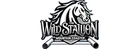 Reviews of Wild Stallion Alpine Mountain Coaster Pigeon Forge Coaster