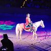 Horse in the Arena