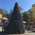 Christmas Tree at Dollywood Theme Park Tennessee