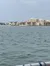 Clearwater Dolphin Cruise - A great first time experience!