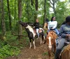 My family and I had a great time riding horses at Goldrush Stables.  The staff were great and made it a great experience.XYZMichael Fallona - Jb Andrews, Maryland