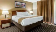 The image shows a neatly arranged hotel room with a large bed, side table lamps, and a decorative picture above the bed.