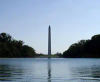 Washington Monument on the Best of DC Tour