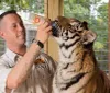 A man in a zookeepers uniform is holding a small box to a tigers ear and the tiger is seemingly attentive or curious about the object