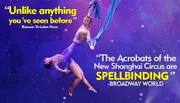 Two acrobats perform a dramatic aerial routine against a starry backdrop, accompanied by enthusiastic reviews from Branson Tri-Lakes News and Broadway World.