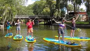 A group of people are standing on paddleboards in a waterway, each holding a paddle aloft, with a lush green backdrop and a bridge in the background.