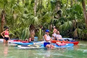 A group of people are enjoying paddleboarding and kayaking amidst lush greenery in a clear water stream.