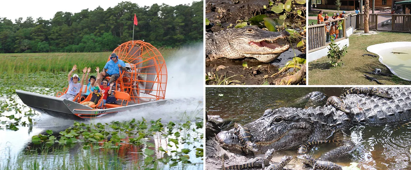Boggy Creek Daytime Airboat Ride
