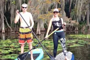 A man and a woman are standing on paddleboards in a calm body of water with lily pads, surrounded by trees draped with Spanish moss.