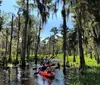 A group of people is kayaking in a calm waterway surrounded by lush greenery and Spanish moss-draped trees with a large crooked dead tree trunk in the foreground