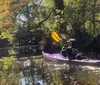 A person in a purple kayak paddles through tranquil waters surrounded by lush foliage on a sunny day