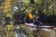 A person in a purple kayak paddles through tranquil waters surrounded by lush foliage on a sunny day.
