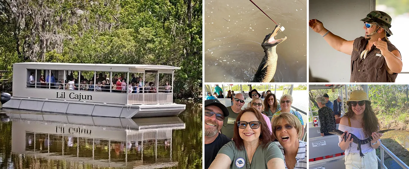 Swamp and Bayou Sightseeing Tour from New Orleans
