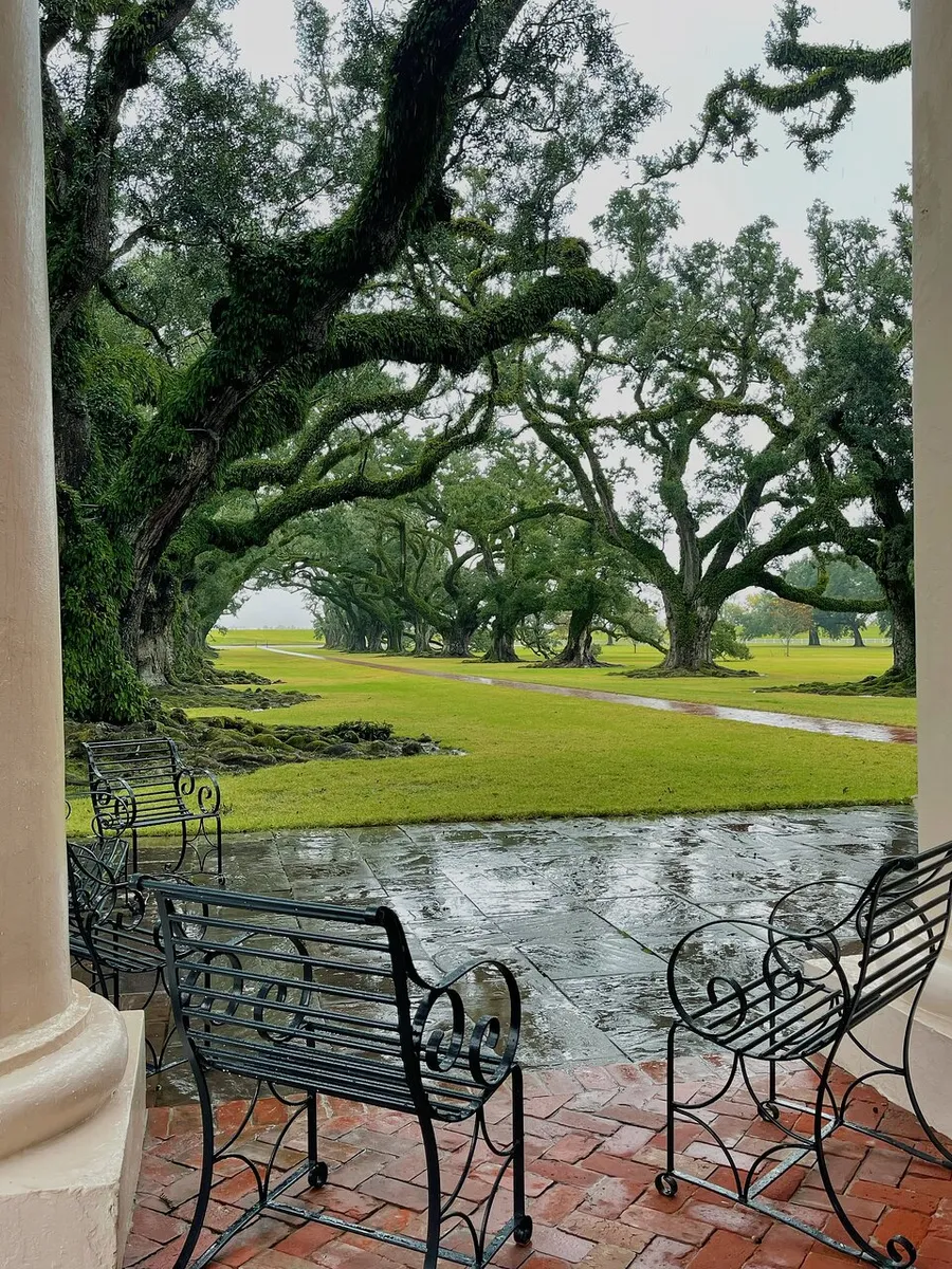 The photo shows a serene view from a sheltered patio with metal benches, looking out onto a lush lawn with majestic, moss-covered trees under a cloudy sky.